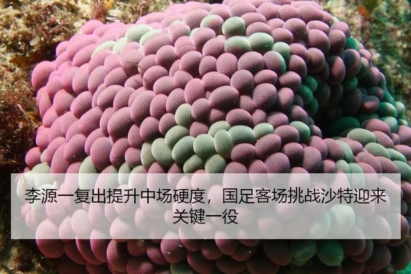 李源一复出提升中场硬度，国足客场挑战沙特迎来关键一役