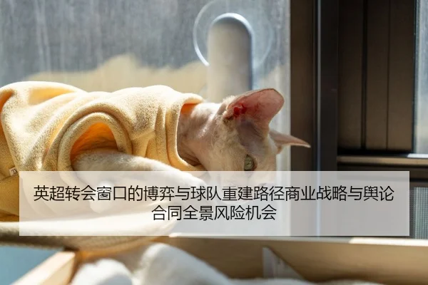 英超转会窗口的博弈与球队重建路径商业战略与舆论合同全景风险机会