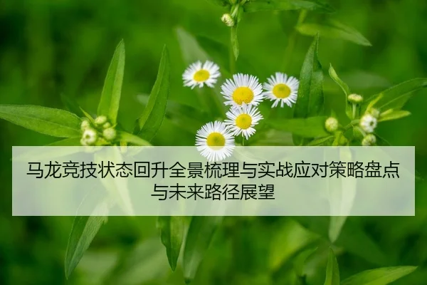 ma-long-jing-ji-zhuang-tai-hui-sheng-quan-jing-shu-li-yu-shi-zhan-ying-dui-ce-lve-pan-dian-yu-wei-lai-lu-jing-zhan-wang-2-317.jpg
