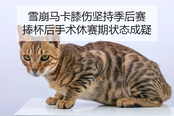 雪崩马卡膝伤坚持季后赛 捧杯后手术休赛期状态成疑